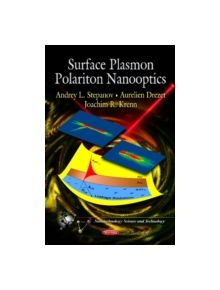 Surface Plasmon Polariton Nanooptics - 11203 - 9781619423527