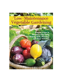 Low-Maintenance Vegetable Gardening - 9781620082478