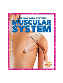 Muscular System - 9781620315590