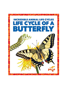 Life Cycle of a Butterfly - 9781624968037