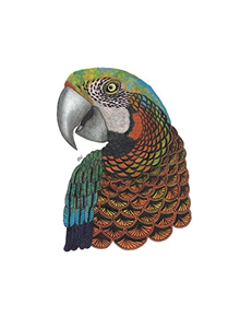 Tangleeasy Lined Journal Parrot - 9781641780117