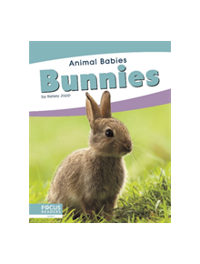 Animal Babies: Bunnies - 9781641857437