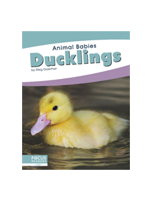 Animal Babies: Ducklings - 9781641857451