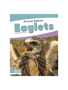 Animal Babies: Eaglets - 9781641857468