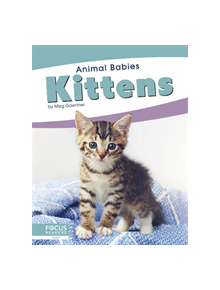 Animal Babies: Kittens - 9781641857482