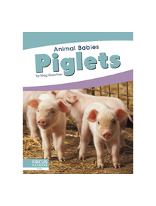 Animal Babies: Piglets - 9781641857499