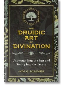 Druidic Art Of Divination - Destiny Books - 9781644110249