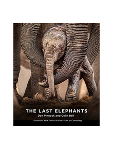 The Last Elephants - 9781743795514