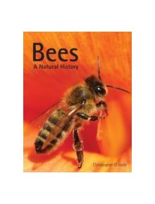 Bees: A Natural History - 9781770852082