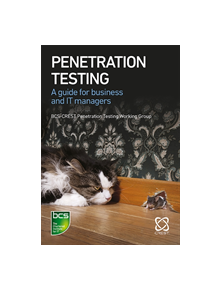 Penetration Testing - 9781780174082