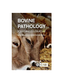 Bovine Pathology - 9781780646718