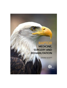 Raptor Medicine, Surgery, and Rehabilitation - 9781780647463