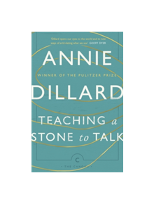 Teaching a Stone to Talk - 9781782118855