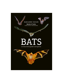 Bats - 9781782405573