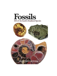 Fossils - 9781782742586