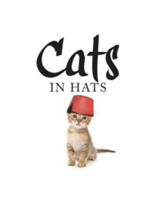 Cats in Hats - 9781782744306