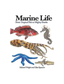 Marine Life - 9781782744450