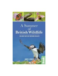 A Summer of British Wildlife - 9781784770099