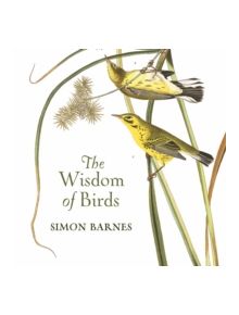 The Meaning of Birds - 9781784970703