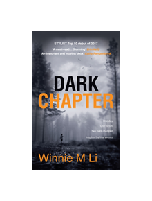 Dark Chapter: Hard-hitting crime fiction based on a true story - 9781785079047