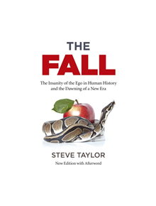 Fall, The (new edition with Afterword) - 9781785358043