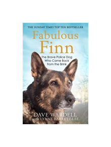 Fabulous Finn - 9781786489098