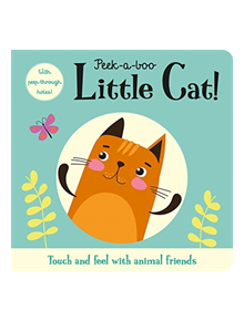 Peek-a-boo Little Cat! - 9781787008717