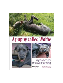 A puppy called Wolfie - 9781787110700