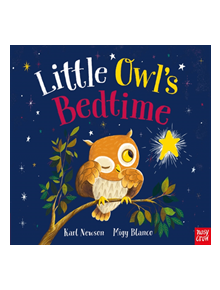 Little Owl's Bedtime - 9781788006378