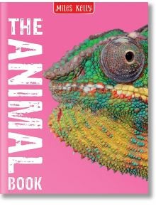 The Animal Book - Miles Kelly Publishing - 9781789890228