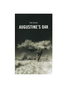 Augustine (TM)s Oak - 9781840021288