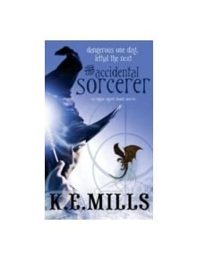 The Accidental Sorcerer - 9781841497273