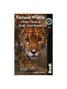 Pantanal Wildlife - 9781841623054