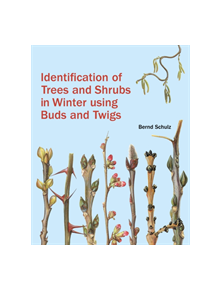 Identification of Trees and Shrubs in Winter Using Buds and Twigs - 9781842466506