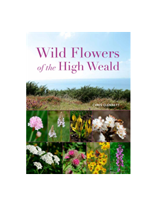 Wild Flowers of the High Weald - 9781842466667