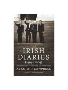 The Irish Diaries (1994-2003) - 9781843514008