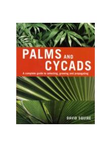 Palms and Cycads - 9781845372989