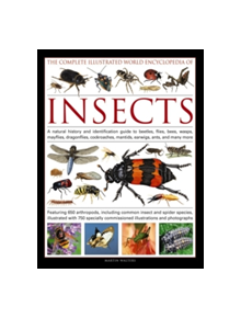 Complete Illustrated World Encyclopedia of Insects - 9781846815829