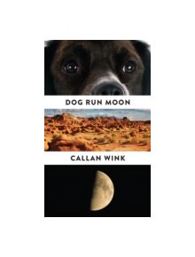 Dog Run Moon - 9781847088147