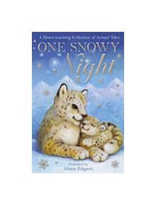 One Snowy Night - 9781847159595