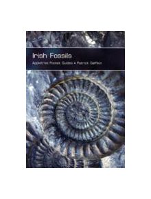 Irish Fossils - 9781847580733