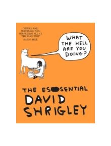 What The Hell Are You Doing?: The Essential David Shrigley - 9781847678638