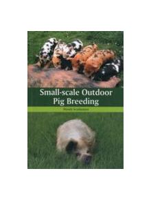 Small-scale Outdoor Pig Breeding - 9781847973078