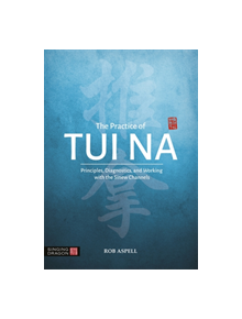 The Practice of Tui Na - 9781848194120