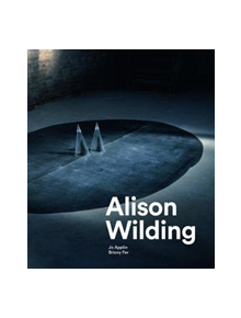 Alison Wilding - 9781848222656