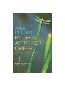 Pilgrim at Tinker Creek - 9781848250789