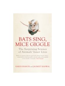 Bats Sing, Mice Giggle - 9781848311305