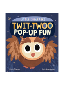 Twit-twoo Pop-up Fun - 9781848576506