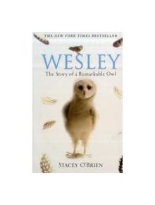 Wesley - 9781849010580