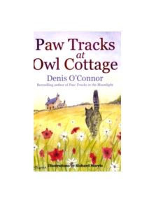 Paw Tracks at Owl Cottage - 9781849016407